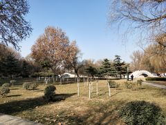 -达活泉公园