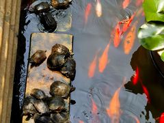 -狼山风景名胜区