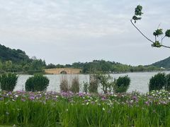 -南北湖风景区