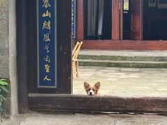 -渝绝回味碗土家洋芋饭(学道街店)