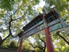 -北京国子监胡同