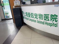 -爱侣宠医·鹦鹉专科·小型哺乳类·异宠专科(灵石路店)