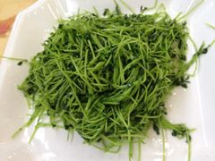 清炒豆苗-海岛渔村大酒店(云霄路店)