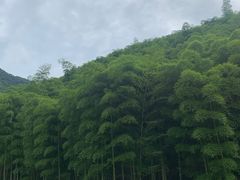 -将军关探险漂流