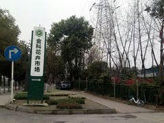 -金科花卉市场