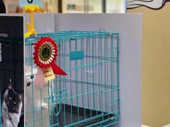 -萌兽医馆·眼科·异宠专科(三里屯店)