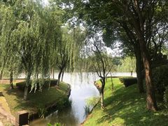 -上海鲜花港
