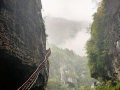-鹿院坪生态旅游景区