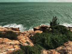 -广东惠东海龟国家级自然保护区