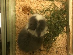 -龙猫仔乐园(惠福东路店)