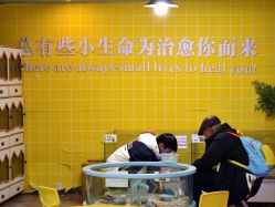 -神奇动物撸宠馆·羊驼·小浣熊·异宠(豫园店)