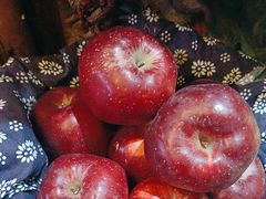 -王婆炒鱼(总店)