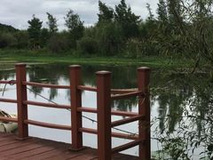 -才村湿地公园