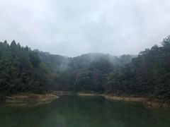-千岛湖龙川湾