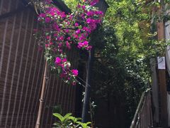 景观位-先机泉水鸡汤(南山老君洞店)