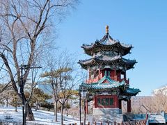 -迎泽公园