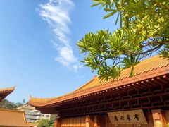 -深圳仙湖植物园