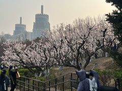 -元大都城垣遗址公园
