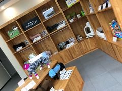 -爱妮康宠物医院·干细胞免疫细胞·肿瘤·心脏(张江店)