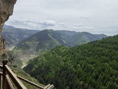 -芦芽山旅游度假区