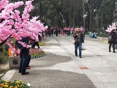 -绵阳人民公园(涪城区)