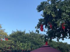-深圳龙潭公园