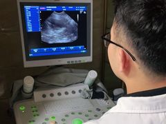 -安安宠医·安宠宠物医院