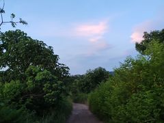 -桃花岭景区