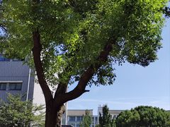 -苏州工学院(东南校区)