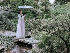 -南山植物园