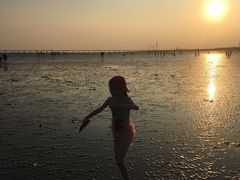 -南汇新城海滩