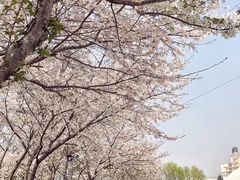 -榖屋house of flour(张江首店)