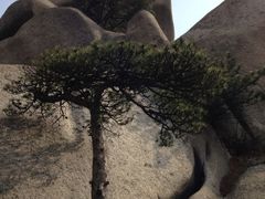 iphone_upload_pic-天柱山风景区