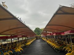 -合肥滨湖国家森林公园