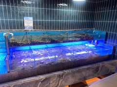 -海韵之星邮轮水会(明发商业广场店)