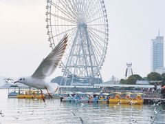 -蠡湖大桥公园