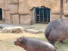 -沈阳森林动物园