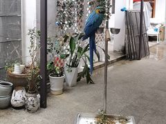 -观桥阁(锦溪店)