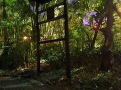 -碧桂园润杨溪谷温泉酒店