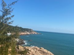-广东惠东海龟国家级自然保护区