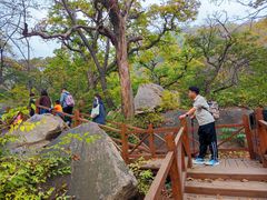 -大岭沟猕猴桃谷风景区