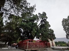 -四门塔风景区