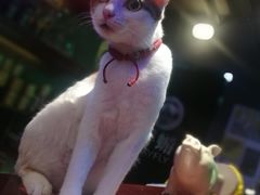 -蜉蝣酒吧(仓山万达店)