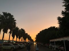 -大湾区中央湿地公园-十九涌