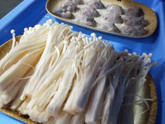 -顺德哥卜卜贝(旗舰店)
