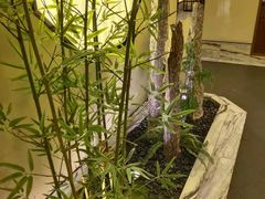 -小厨娘淮扬菜(六合欢乐港店)