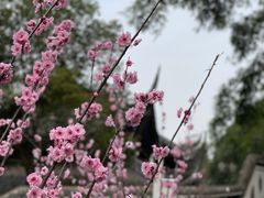 -关岳庙