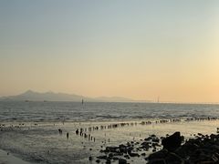 -深圳湾公园(南山区)
