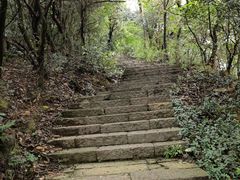 -杭州半山国家森林公园