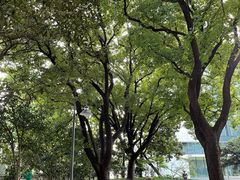 -静安公园(静安寺街道)